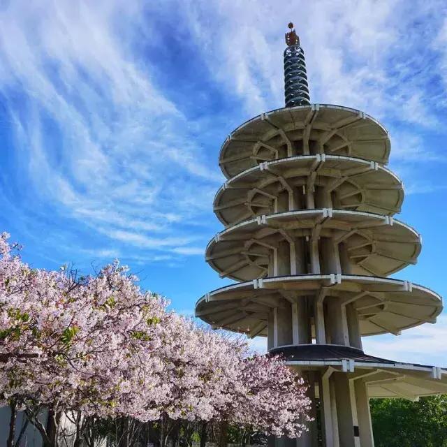 japan town의 평화의 탑